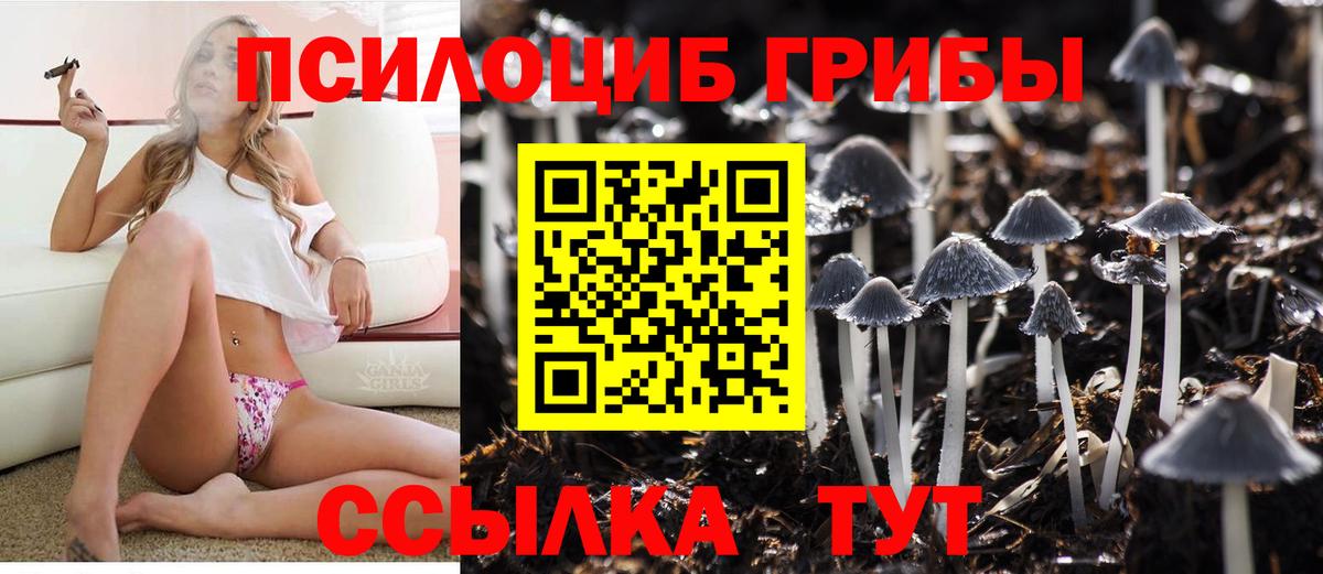 Галлюциногенные грибы мухоморы Черногорск