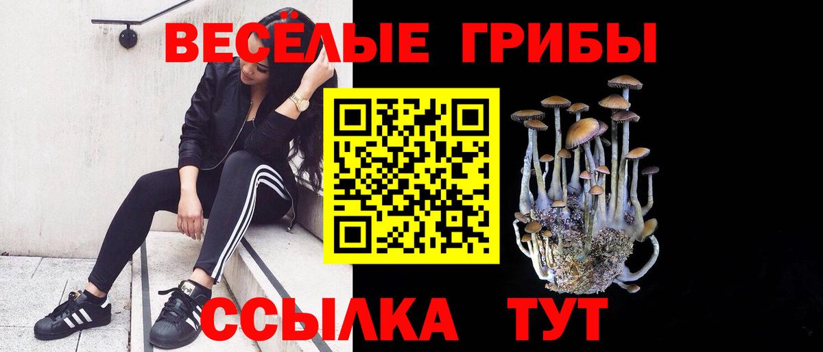 Псилоцибиновые грибы мухоморы  Вход с VPN  Черногорск  Галлюциногенные грибы мицелий 
